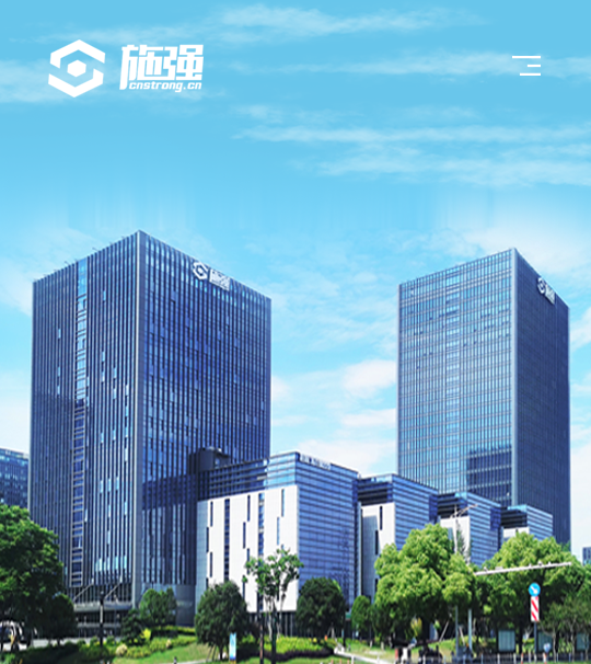 集团公司网站建设