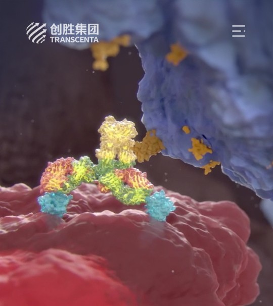上海生物医药网站建设