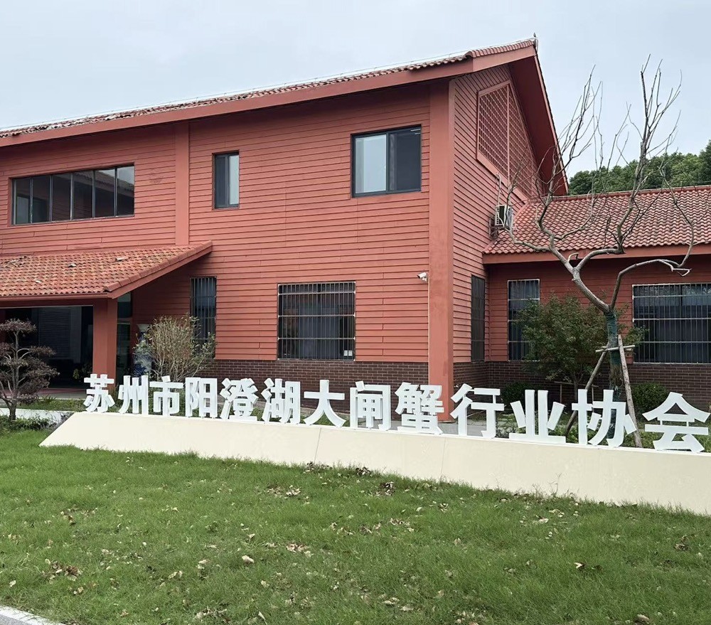上海网站建设
