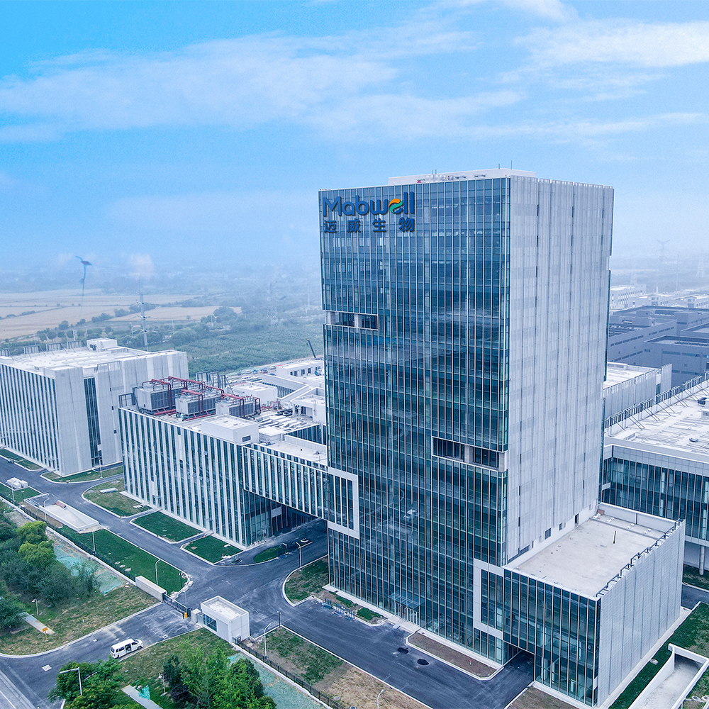 上海网站建设