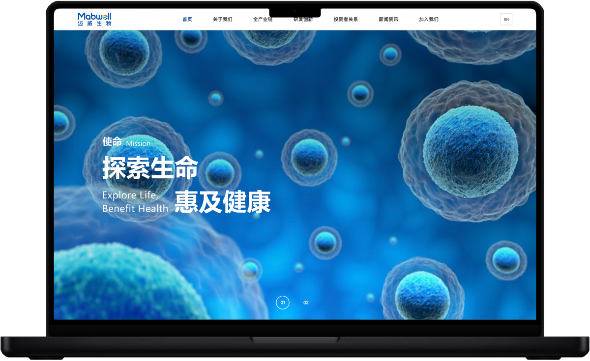 上市公司网站建设